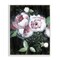 Stupell Industries Moody Roses on Black Framed Giclee Wall Art Design by Janet Tava
